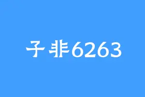 子非6263