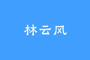 林云风