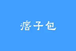 痞子包