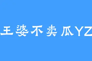王婆不卖瓜YZ