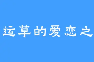 幸运草的爱恋之伤