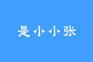 是小小张