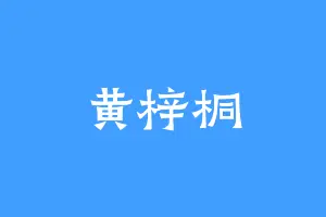 黄梓桐