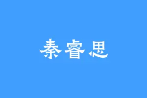 秦睿思