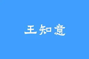 王知意