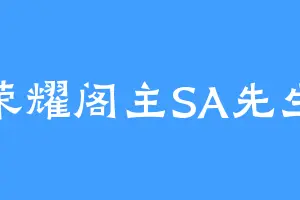 荣耀阁主SA先生