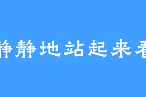 静静地站起来看