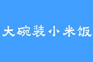 大碗装小米饭