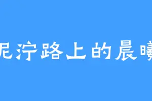 泥泞路上的晨曦