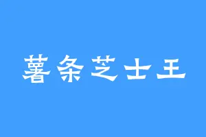 薯条芝士王