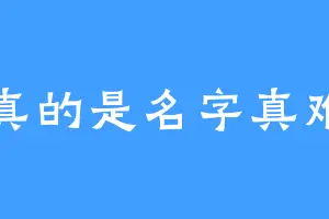 我真的是名字真难起