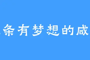 壹条有梦想的咸鱼