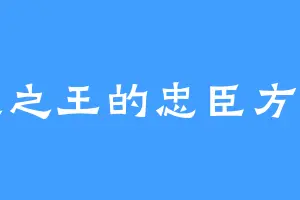 白银之王的忠臣方块五