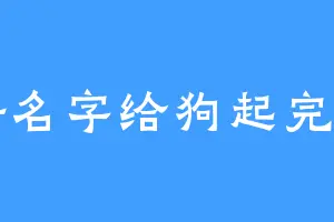 好名字给狗起完了