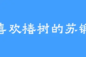 喜欢椿树的苏锻