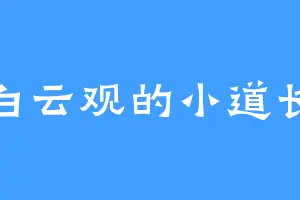 白云观的小道长
