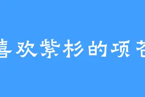 喜欢紫杉的项苍