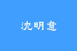 沈明意