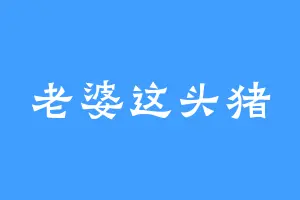 老婆这头猪