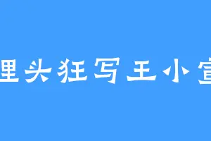 埋头狂写王小宣