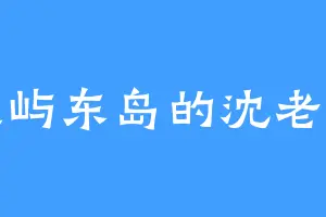 银屿东岛的沈老头
