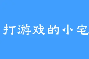 爱打游戏的小宅男