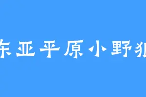 东亚平原小野狼