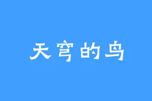 天穹的鸟