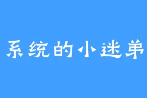 系统的小迷弟
