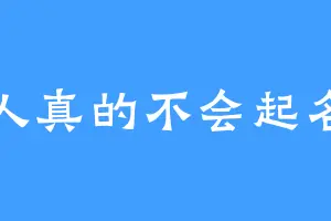 苯人真的不会起名字