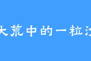 大荒中的一粒沙
