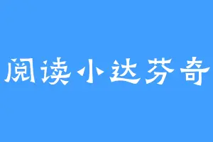 阅读小达芬奇