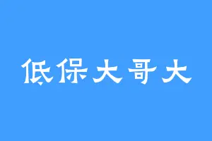 低保大哥大