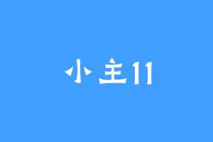 小主11