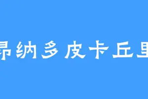 莱昂纳多皮卡丘里奥