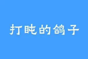 打盹的鸽子