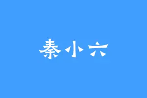 秦小六