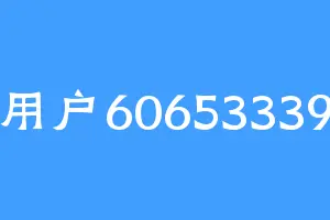 用户60653339