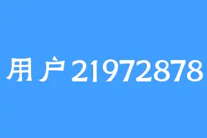 用户21972878