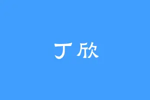 丁欣