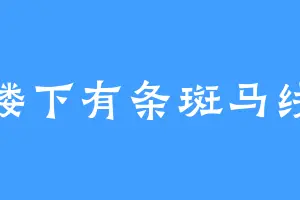 楼下有条斑马线