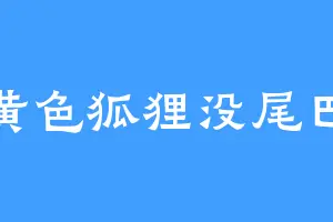 黄色狐狸没尾巴