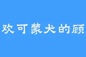 喜欢可蒙犬的顾欢