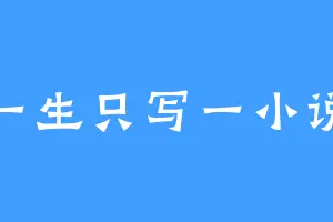 一生只写一小说