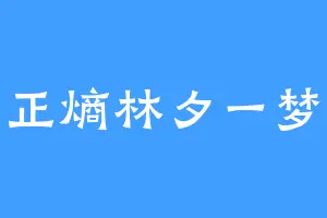 正熵林夕一梦