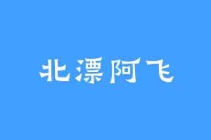 北漂阿飞