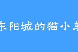 东阳城的猫小弟