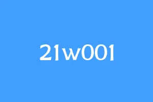 21w001