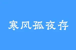 寒风孤夜存