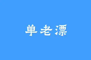 单老漂